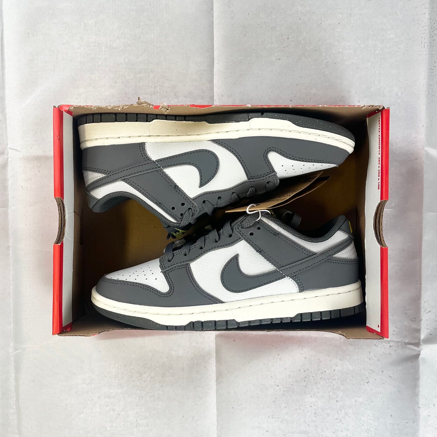 Nike Dunk Low Retro -Iron Grey/Photon Dust Gris Fer/Poussiere De Photon